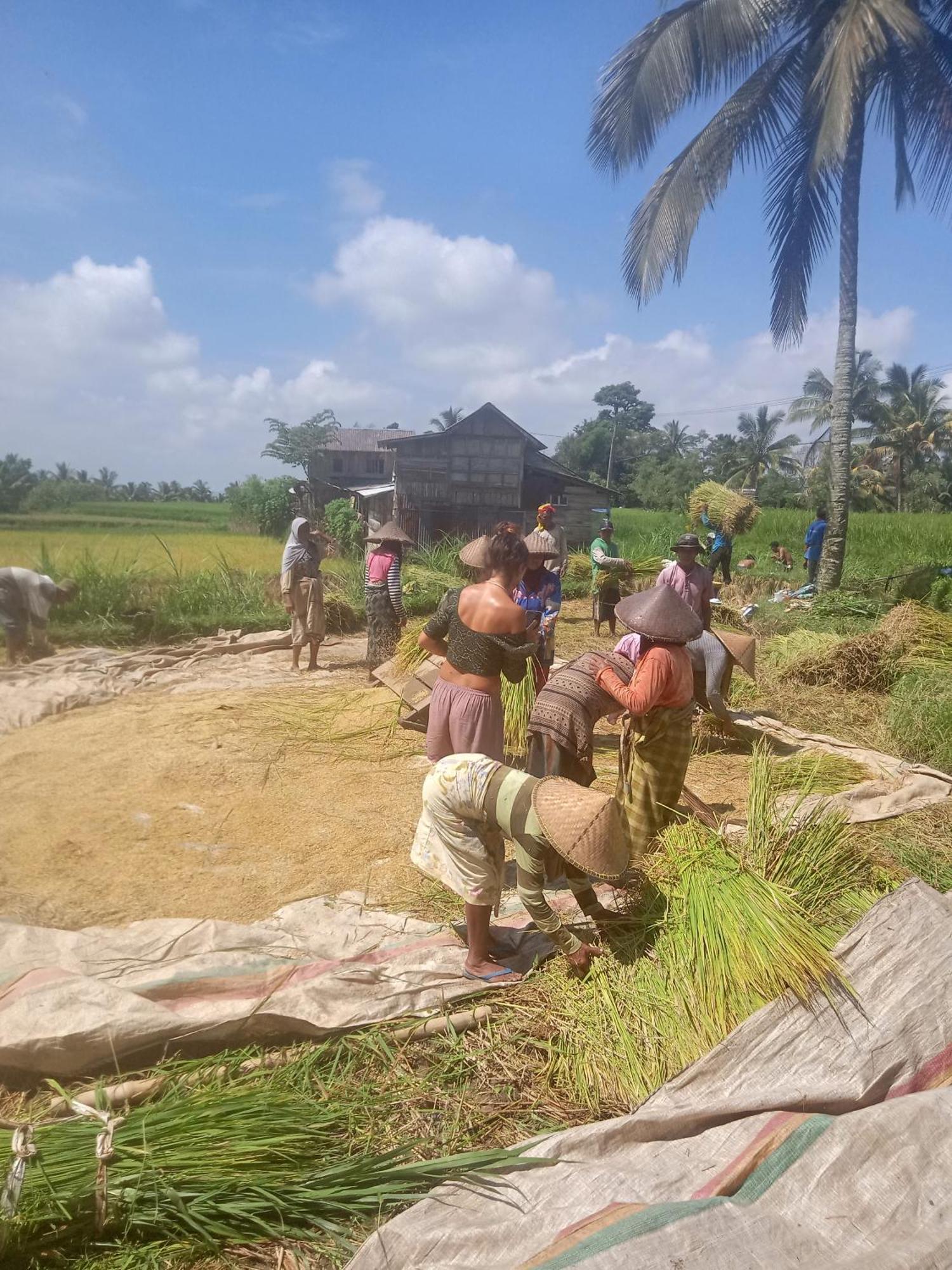 Coconut Homestay Тетебату Екстер'єр фото