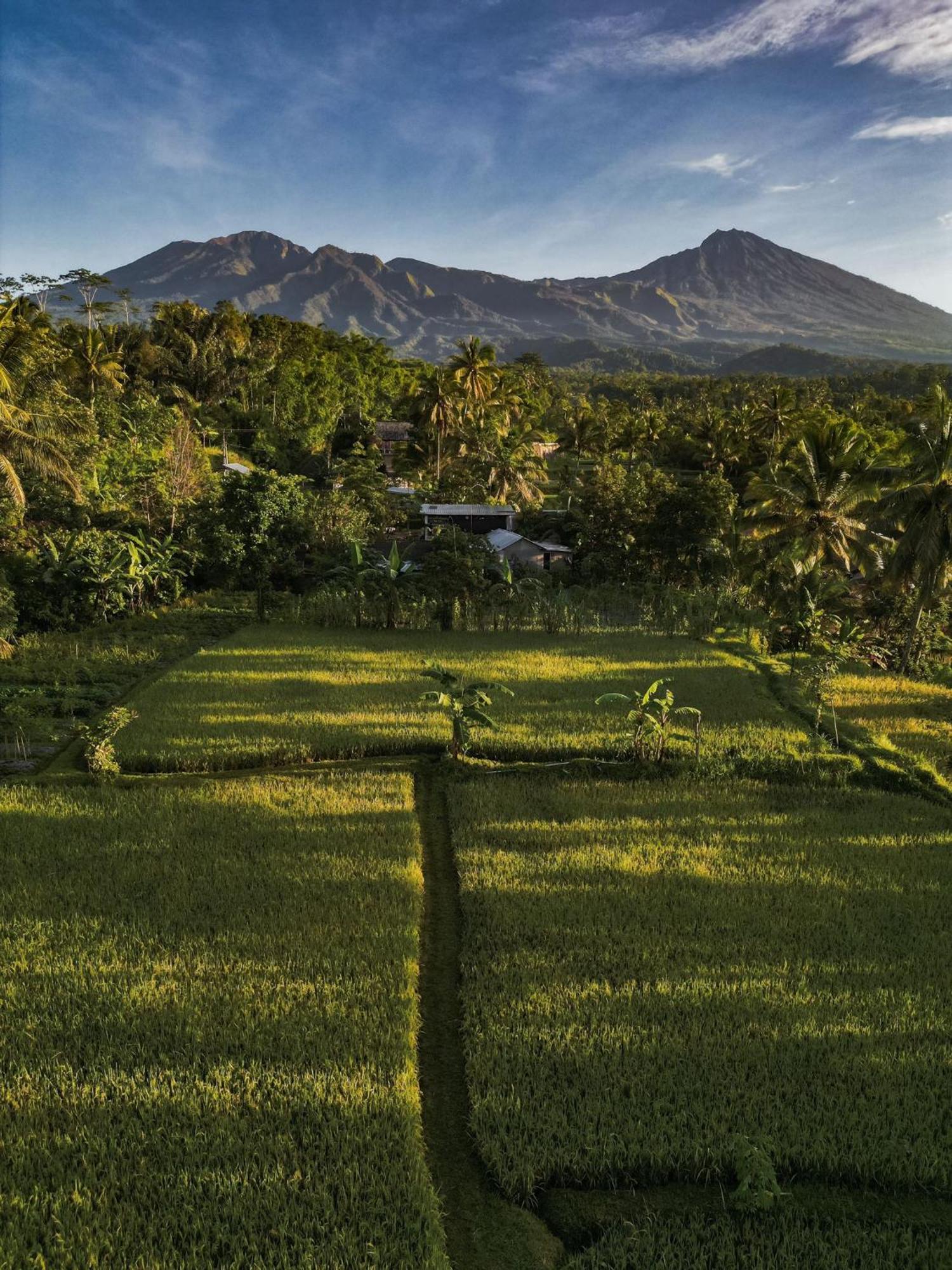 Coconut Homestay Тетебату Екстер'єр фото