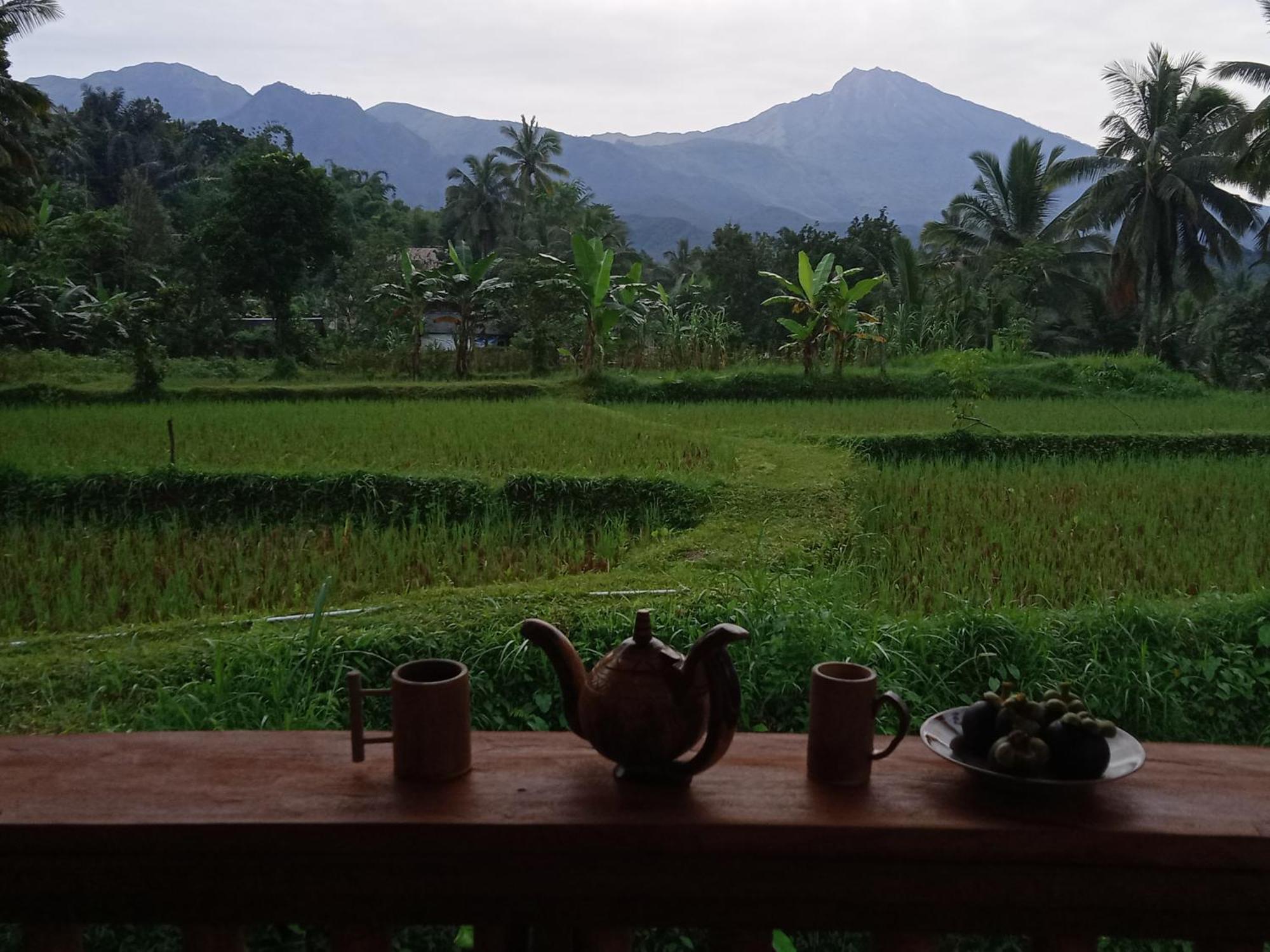 Coconut Homestay Тетебату Екстер'єр фото